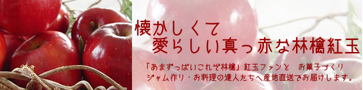 紅玉りんご 山県産紅玉産地直送少量限定販売