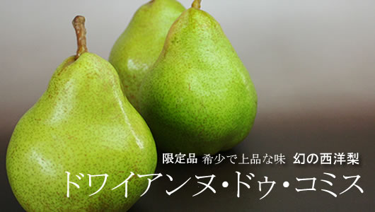 コミス高級西洋梨