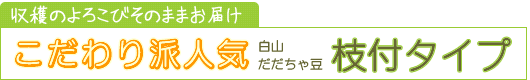 だだちゃ豆