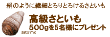 ���E�t�����X�R���Y�v���[���g