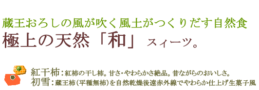 �������낵�@���@�ɏ�a�َq