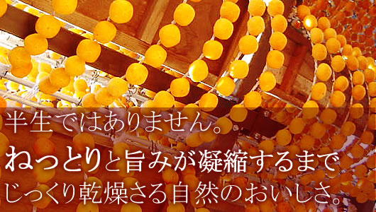 紅干し柿 32果 【4L】 | ぶどう大学 | 上山市松田農園 ほし柿
