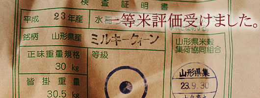�����ؔ���ؗ������낢�남�����ߏ����؁B�R�`�̃G�R�t�@�[�}�[�̏����ؒ����B