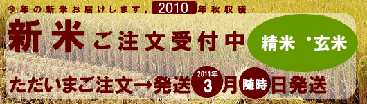 山形県産減農薬こしひかり