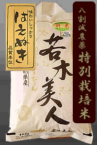 玄米