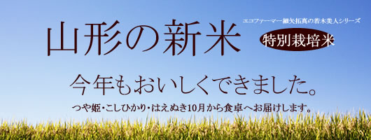 つや姫【正規販売店】|山形県産つや姫・はえぬき・こしひかり新米高級