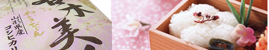 ���i�����ĎR�`�Y�����Ђ���
