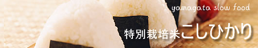 �R�`�̏t�����Ђ��蒼��