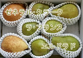 �~�̃��E�t�����X���Ε�ɁB