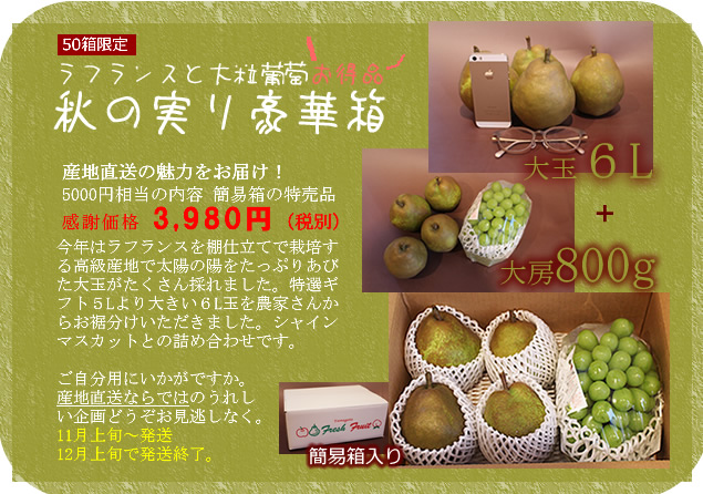 ラフランス 山形 販売