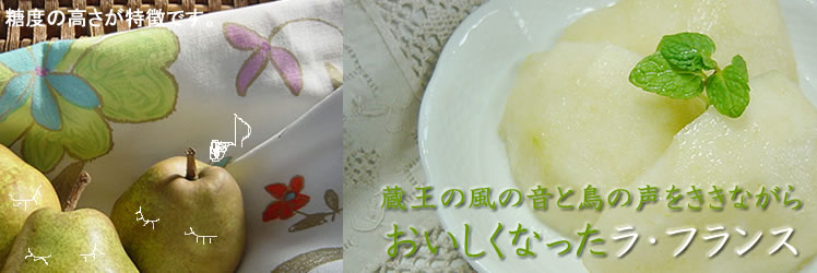 ���Ε鑡�蕨���t�����X