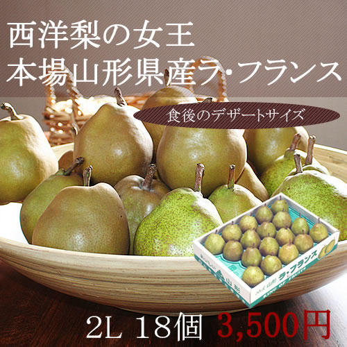 ���t�����X�@�R�`�@�̔�