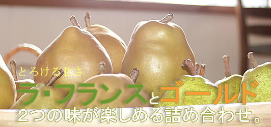 ���蕨�Ƀ��t�����X