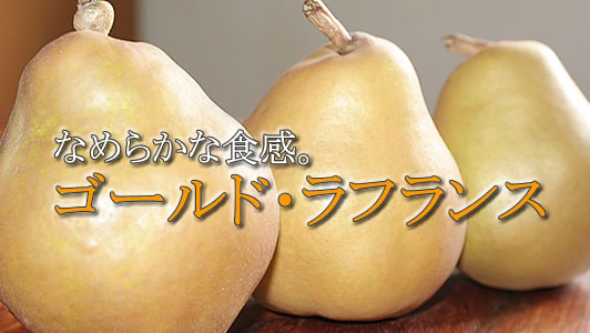 ���蕨�Ƀ��t�����X