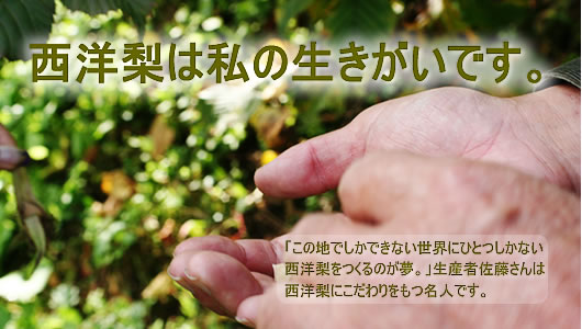 �R�`�̃��t�����X�Â��薼�l�̎�