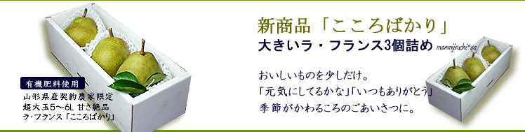 ���Ε钴���3���葡�����t�����X�@���t�����X�@�������m���@