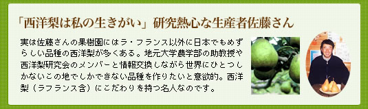 こだわりのラフランス