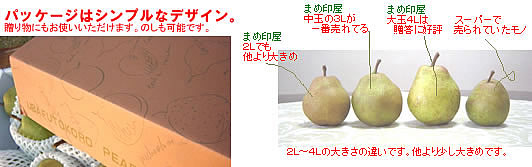 ��ʂ̃��t�����X�͑��蕨�ɑ�D�]�ł��B