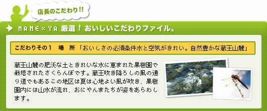 山形の自然