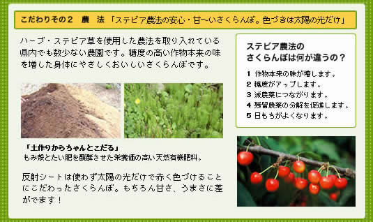 ステビア農法