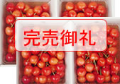 �R�`���Y�����������ڍ����ь���i