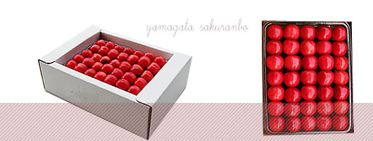 �����������ڍ����ю�l�߂U�O�O��