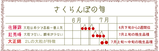 山形のさくらんぼの旬佐藤錦紅秀峰