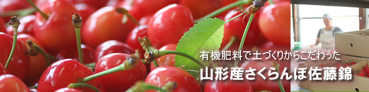 �嗱�������ځ@�����������ځ@�����с@�g�G��