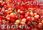 �R�`�Y�������ڃW�������H�p