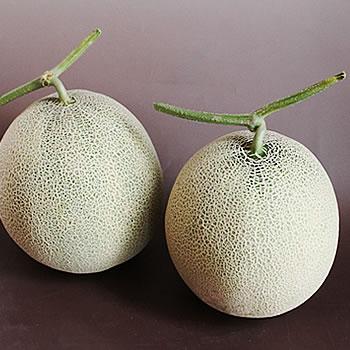 「専用」メロン様 A 庄内砂丘メロン（青・大玉4L前後）2玉 山形産 アンデスメロン大玉