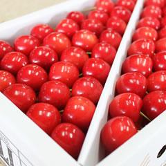 31 ���I�������ڑ叫�ѕ��ыl��1kg �i�R�`�Y�j