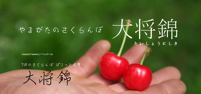 http://www.mameweb.com/shop/item/mameweb/picture/goods/201_3_expand.jpg