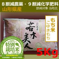 もちごめ 若木美人 特別栽培米 5kg （山形県産）