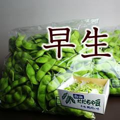 C早 だだちゃ豆 （早生） 2kg（500g ×4袋）