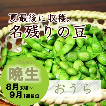 F晩 だだちゃ豆 （晩生 ） ２kg（500g x ４袋）