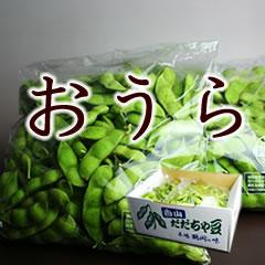 J晩 だだちゃ豆 （晩生） 2kg（500g x 4袋）