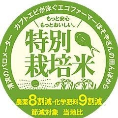 new定期便（らくトク隔月）山形県産 特選つや姫5kg