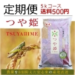 new����ցi�炭�g�N�u���j�R�`���Y ���I��P5kg