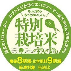 【お試し】 山形県産「特選雪若丸」特別栽培米5kg 8割減農薬・9割減化学肥料（当地比）