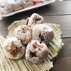 ���y���ƒ�p�����i�z �g���`���܂P�O�ʁ~�T�� �R����R�Y�i���ƕR�t�j