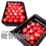 iԍ26ygG ΂zڍgGQLȏ 500`600R`Y