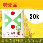 �����R�`���Y��P ���ʍ͔|��20kg �i5K�~4�܁j8�����_��E9�������w�엿�i���n��j