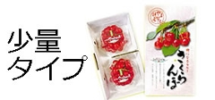 �~�jBOX���ʃ^�C�v