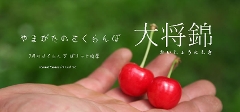 叫 傤ɂ 7{